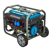 ΓΕΝΝΗΤΡΙΑ ΒΕΝΖΙΝΗΣ BORMANN PRO BGB3700